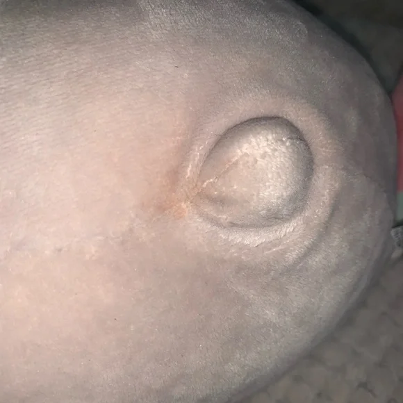 Pusheen bundle - Picture 4 of 8